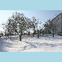 Garten im Schnee 05.03.06